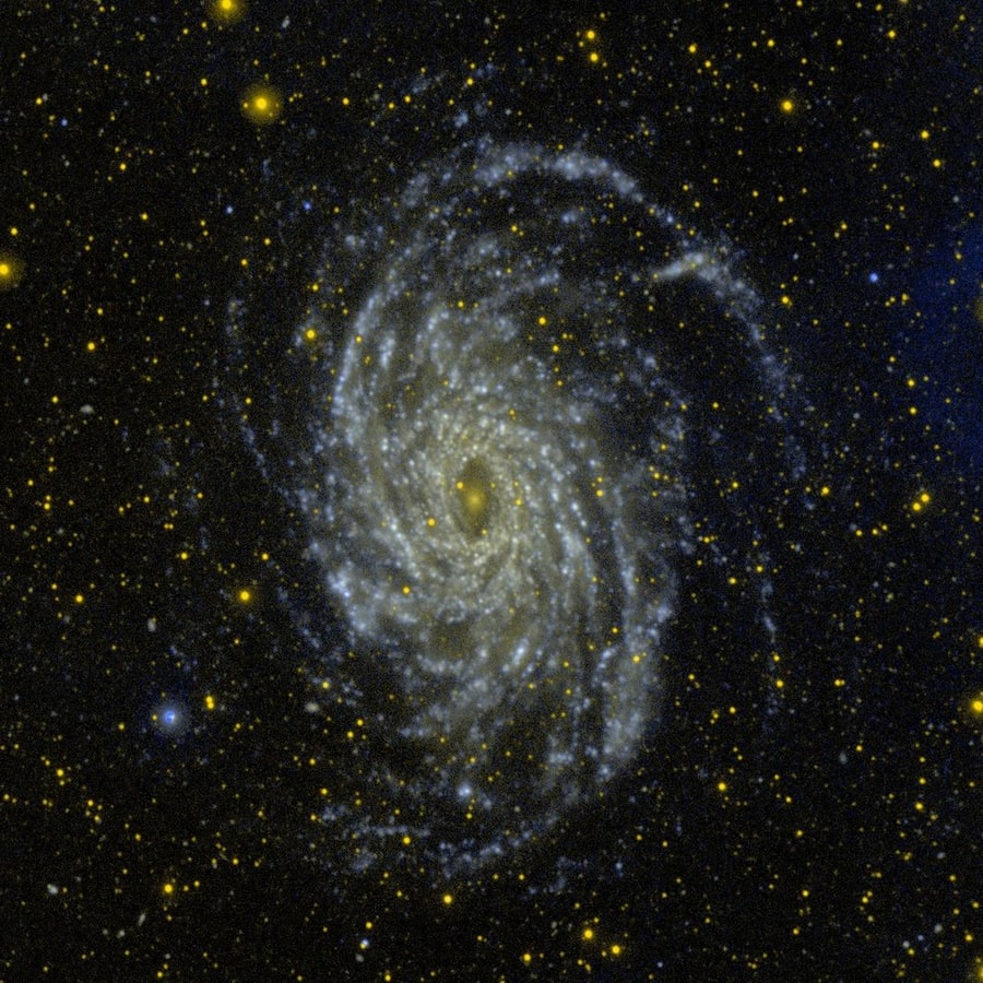 NGC 6744 - спиральная галактика с баром. Описание NGC 6744:, Галактика в созвездии Павлин