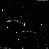 NGC 1018 - спиральная галактика с баром. Описание NGC 1018:, Галактика в созвездии Кит