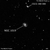 NGC 1019 - спиральная галактика с баром. Описание NGC 1019:, Галактика в созвездии Кит