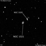 NGC 1021 - галактика. Описание NGC 1021:, Галактика в созвездии Кит