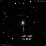 NGC 1036 - галактика. Описание NGC 1036:, Галактика в созвездии Овен