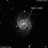 NGC 1042 - спиральная галактика с баром. Описание NGC 1042:, Галактика в созвездии Кит
