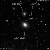 NGC 1066 - эллиптическая галактика. Описание NGC 1066:, Галактика в созвездии Треугольник