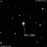 NGC 1080 - спиральная галактика с баром. Описание NGC 1080:, Галактика в созвездии Кит