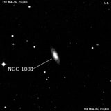 NGC 1081 - спиральная галактика. Описание NGC 1081:, Галактика в созвездии Эридан