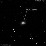 NGC 1101 - линзовидная галактика. Описание NGC 1101:, Галактика в созвездии Кит