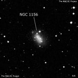 NGC 1156 - галактика неправильной формы. Описание NGC 1156:, Галактика в созвездии Овен
