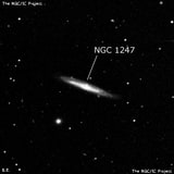 NGC 1247 - галактика. Описание NGC 1247:, Галактика в созвездии Эридан