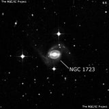 NGC 1723 - спиральная галактика с баром. Описание NGC 1723:, Галактика в созвездии Эридан