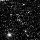NGC 1830 - рассеянное скопление звёзд. Описание NGC 1830:, Рассеянное скопление в созвездии Золотая Рыба