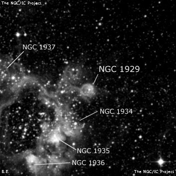 NGC 1929 - туманность. Описание NGC 1929:, Рассеянное скопление в созвездии Золотая Рыба