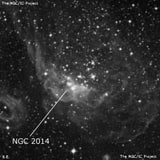 NGC 2014 - рассеянное скопление звёзд. Описание NGC 2014:, Комплекс туманностей в созвездии Золотая Рыба