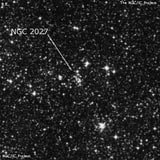 NGC 2027 - рассеянное скопление звёзд. Описание NGC 2027:, Рассеянное скопление в созвездии Золотая Рыба