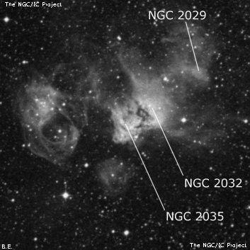 NGC 2035 - туманность. Описание NGC 2035:, Комплекс туманностей в созвездии Золотая Рыба