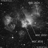 NGC 2035 - туманность. Описание NGC 2035:, Комплекс туманностей в созвездии Золотая Рыба