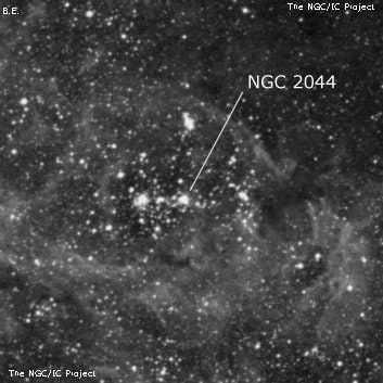 NGC 2044 - рассеянное скопление звёзд. Описание NGC 2044:, Объект глубокого космоса в созвездии Золотая Рыба