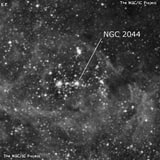 NGC 2044 - рассеянное скопление звёзд. Описание NGC 2044:, Объект глубокого космоса в созвездии Золотая Рыба
