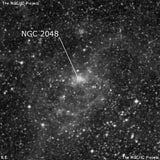 NGC 2048 - туманность. Описание NGC 2048:, Область H II в созвездии Золотая Рыба