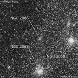 NGC 2066 - рассеянное скопление звёзд. Описание NGC 2066:, Рассеянное скопление в созвездии Столовая Гора