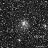 NGC 2075 - рассеянное скопление звёзд. Описание NGC 2075:, Комплекс туманностей в созвездии Столовая Гора