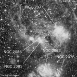 NGC 2086 - туманность. Описание NGC 2086:, Комплекс туманностей в созвездии Золотая Рыба