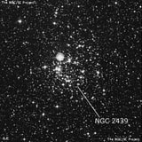 NGC 2439 - рассеянное скопление звёзд. Описание NGC 2439:, Рассеянное скопление в созвездии Корма