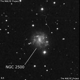 NGC 2500 - спиральная галактика с баром. Описание NGC 2500:, Галактика в созвездии Рысь