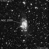 NGC 2559 - спиральная галактика с баром. Описание NGC 2559:, Галактика в созвездии Корма