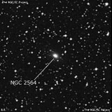 NGC 2564 - галактика. Описание NGC 2564:, Галактика в созвездии Корма