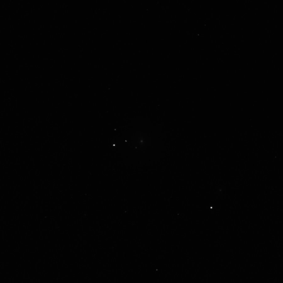 NGC 3344, Галактика в созвездии Малый Лев