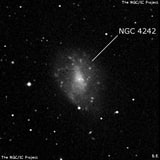 NGC 4242 - спиральная галактика с баром. Описание NGC 4242:, Галактика в созвездии Гончие Псы
