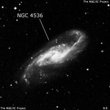 NGC 4536 - спиральная галактика с баром. Описание NGC 4536:, Галактика в созвездии Дева