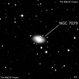 NGC 7079 - спиральная галактика с баром. Описание NGC 7079:, Галактика в созвездии Журавль
