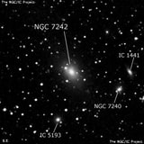 NGC 7242 - эллиптическая галактика. Описание NGC 7242:, Галактика в созвездии Ящерица
