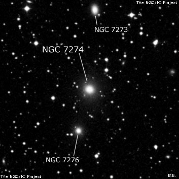 NGC 7274 - эллиптическая галактика. Описание NGC 7274:, Галактика в созвездии Ящерица
