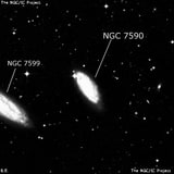 NGC 7590 - галактика. Описание NGC 7590:, Галактика в созвездии Журавль