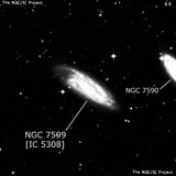 NGC 7599 - спиральная галактика с баром. Описание NGC 7599:, Галактика в созвездии Журавль