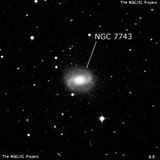 NGC 7743 - спиральная галактика с баром. Описание NGC 7743:, Галактика в созвездии Пегас